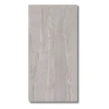 gres-berlingrey-120x60.jpg