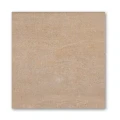 gres-stonebeige-60x60.jpg