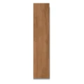 gres-royalbrown-120x20.jpg