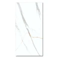 gres-marblealbatros-120x60.jpg