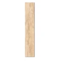 gres-royalbeige-120x20.jpg