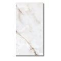 gres-lieraonyx-120x60.jpg