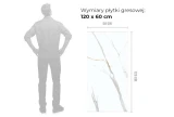 gres-marblealbatroscarving-120x60-wymiar.jpg