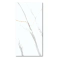 gres-marblealbatroscarving-120x60.jpg