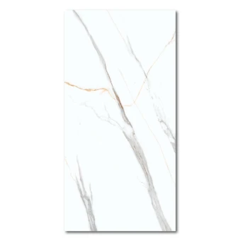 gres-marblealbatroscarving-120x60.jpg
