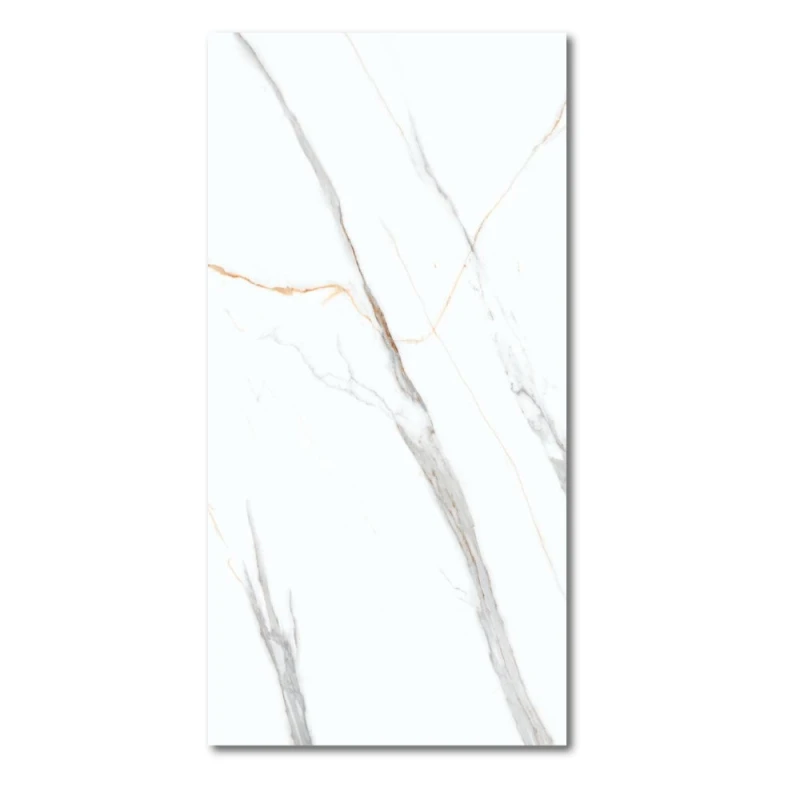 gres-marblealbatroscarving-120x60.jpg