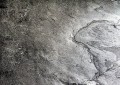 kamienny-fornir-south-grey-3.jpg