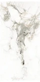 Untitled.jpg