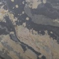 fornir tapeta autumn rustic 122x61.jpg